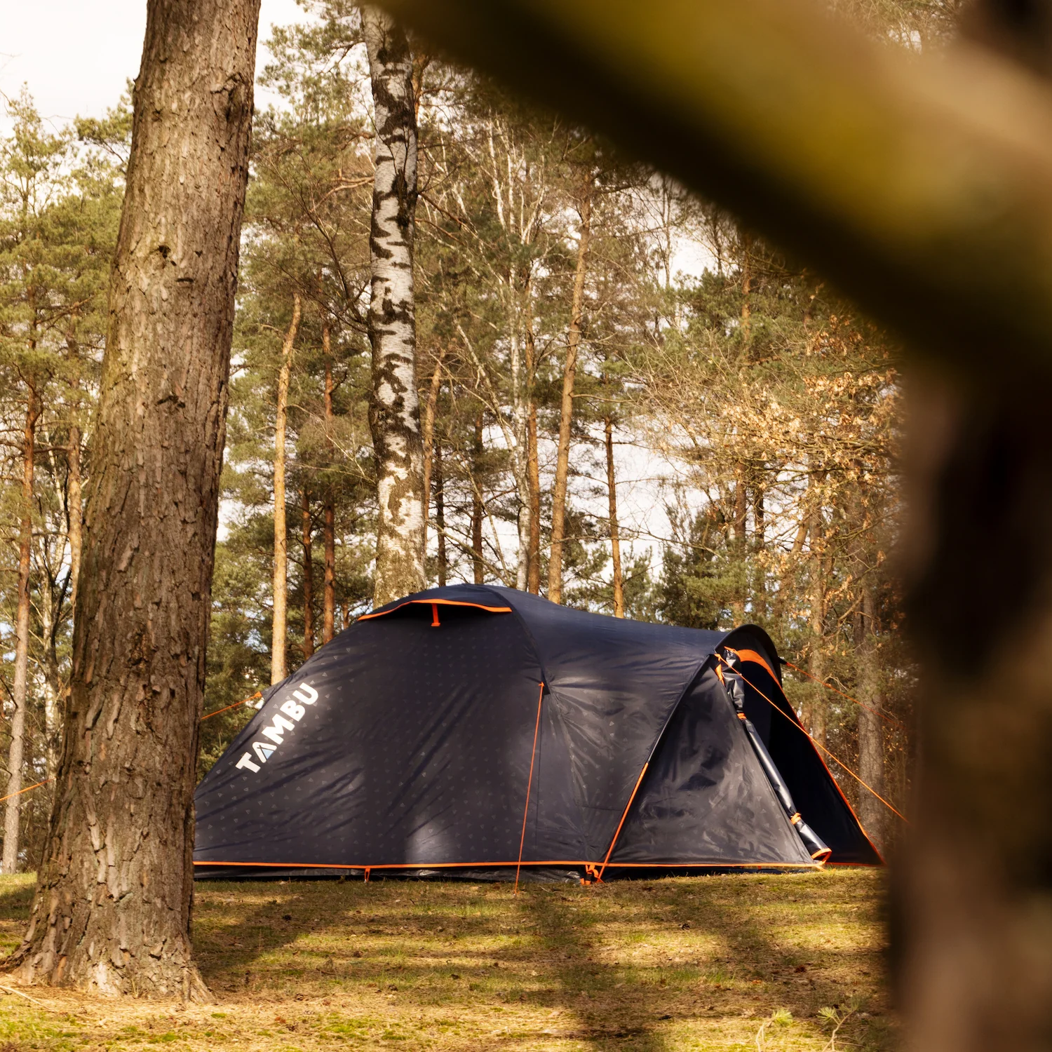 HAIKA 4 | 4 Personen Kuppelzelt - Image 4